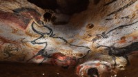 史前洞窟壁画国际艺术中心内的“高仿”拉斯科洞穴壁画，法国蒙蒂尼亚克 (© Caroline Blumberg/Epa/Shutterstock)