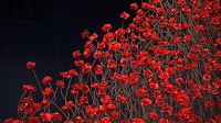 帝国战争博物馆北馆内的装置艺术‘Blood Swept Lands and Seas of Red’，英国曼彻斯特 (© Christopher Furlong/Getty Images)
