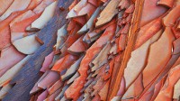 哈默斯利峡谷里的石头结构，澳大利亚 (© Frank Krahmer/Corbis Documentary/Getty Images)