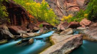 锡安国家公园内的维尔京河，美国犹他州 (© Justinreznick/Getty Images)