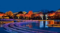 名花之里冬季彩灯展，日本桑名市 (© Julian Krakowiak/Alamy)