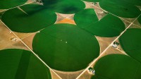 圆形农田，科罗拉多州摩根县 (© Jim Wark/Getty Images)