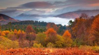 秋天的罗梦湖和特罗萨克斯国家公园，苏格兰 (© Jon Arnold/Danita Delimont)