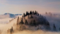 大雾笼罩下的巴伐利亚阿尔卑斯山脉，德国 (© Anton Petrus/Getty Images)