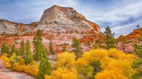 锡安国家公园的秋色，犹他州 (© pabradyphoto/Getty Images)