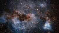 由哈勃太空望远镜拍摄的大麦哲伦星云 (© ESA/Hubble/NASA)