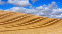 云下的麦田，西班牙巴利亚多利德 (© Carlos Javier García Prieto/EyeEm/Getty Images)
