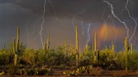 图森北部托托利塔山麓上空的雷暴，亚利桑那州索诺拉沙漠 (© Jack Dykinga/Minden Pictures)