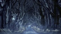 黑暗树篱，北爱尔兰安特里姆 (© VanderWolf Images/Shutterstock)