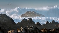巨浪冲击着阿斯洛玛尔州立海滩的岩石，加利福尼亚州帕西菲克格罗夫 (© Sheila Haddad/Danita Delimont)