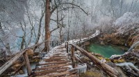普利特维采湖群国家公园中的高架步道，克罗地亚 (© Alessandro Laporta/Offset by Shutterstock)