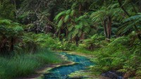 华卡雷瓦雷瓦森林的红木纪念树林，新西兰北岛 (© Michael Breitung/Huber/eStock Photo)