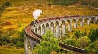 穿越格伦菲南高架桥的蒸汽火车，苏格兰因弗内斯郡 (© The Escape of Malee/Shutterstock)