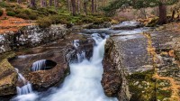 Linn of Quoich瀑布旁的碗状岩石洞，苏格兰阿伯丁郡 (© AWL Images/Danita Delimont)