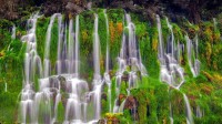 千泉州立公园的瀑布，美国爱达荷州 (© knowlesgallery/Getty Images)
