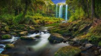 旺阿雷自然保护区里的旺阿雷瀑布，新西兰北岛 (© Nathan Kavumbura/Getty Images)