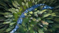 加勒廷国家森林里的小溪，美国蒙大拿州 (© Jared Lloyd/Getty Images)