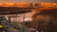 大弯曲国家公园的塞拉庞塞和格兰德河边的悬崖，美国得克萨斯州 (© Tim Fitzharris/Minden Pictures)