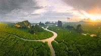 攀牙湾安达曼海的红树林，泰国 (© Ratnakorn Piyasirisorost/Getty Images)