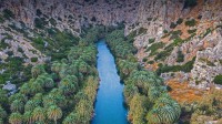 普雷维利峡谷里的河流和棕榈树森林，希腊克里特岛 (© borchee/Getty Images)