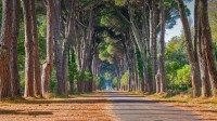 米利亚里诺自然公园，圣罗索尔，意大利马萨西犹可利 (© Stefano Valeri/Alamy)