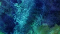 楚科奇海的浮游植物水华，美国阿拉斯加州海岸附近 (© Norman Kuring/Kathryn Hansen/U.S. Geological Survey/NASA)