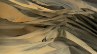 沙丘中的南非剑羚，纳米比亚 (© Sergey Gorshkov/Alamy)