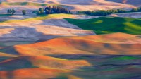 帕卢斯的农田，华盛顿州，美国 (© EJ-J/Getty Images)