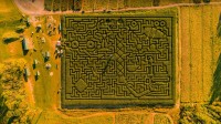 塞勒斯堡的玉米迷宫，宾夕法尼亚州，美国 (© Alex Potemkin/Getty Images)