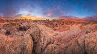砂岩岩层，红悬崖国家保护区，亚利桑那州，美国 (© Yva Momatiuk and John Eastcott/Minden Pictures)