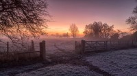 冬季日出，戴德姆，科尔切斯特，英格兰 (© George W Johnson/Getty Images)