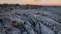 蓝龙熔岩流，月球陨石坑国家纪念碑和保护区，爱达荷州，美国 (© Alan Majchrowicz/Getty Images)