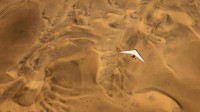 一架超轻型飞机飞越纳米比亚沙漠 (© Burt Johnson/Alamy Stock Photo)