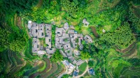 杨家塘村茶园，松阳县，中国 (© feng xu/Getty Images)