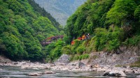 沿着岚山保津川行驶的火车，京都，日本 (© Alvin Huang/Getty Images)