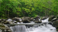 小鸽子河，大雾山国家公园，田纳西州, 美国 (© GreenStock/Getty Images)