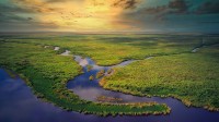 大沼泽地国家公园的鸟瞰图，佛罗里达州，美国 (© Robert DelVecchio - OcuDrone/Getty Images)