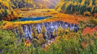 秋季九寨沟国家公园里的诺日朗瀑布, 四川省, 中国 (© tawatchaiprakobkit/Getty images)