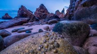 退潮时裸露在乌尔萨海滩海岸上的帽贝, 葡萄牙 (© Theo Bosboom/Nature Picture Library)