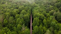 鸟瞰弗吉尼亚爬山虎步道，达马斯克斯，弗吉尼亚州，美国 (© Eifel Kreutz/Getty Images)