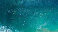 冲浪者航拍图，圣卡塔琳娜州，巴西 (© Wonderful Nature/Shutterstock)