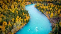 卡西洛夫河冰川融水滋养的湛蓝河水，阿拉斯加州，美国 (© jared lloyd/Getty Images)