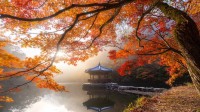 内藏山国立公园的秋景，韩国 (© Twenty47studio/Getty Images)