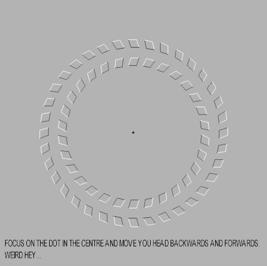 欺骗眼睛的视觉图片：图中的圆圈会转动