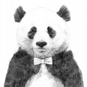 有趣的图片：酷毙了！颇有绅士风度的熊猫肖像